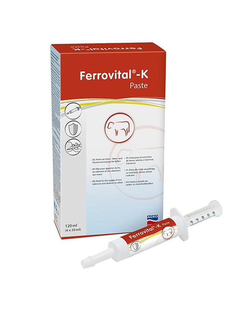 Ferrovital Pasta 6x 20 ml