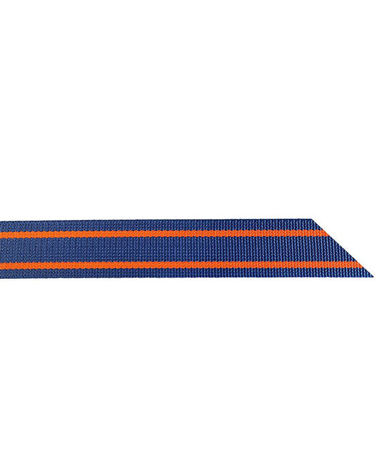 Halsrem blå- orange komplett