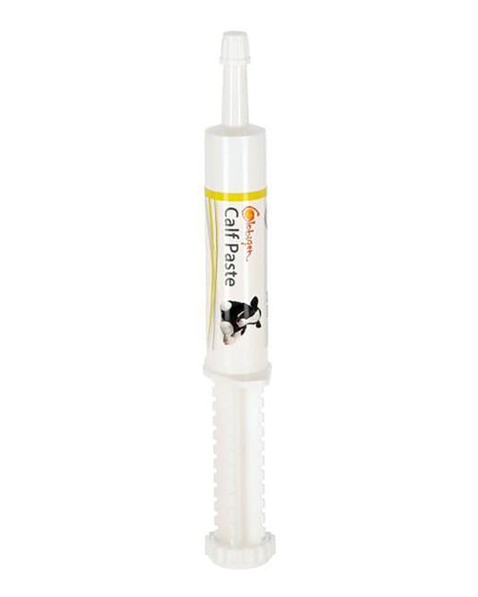 Globigen calf paste 30 ml, 6-p